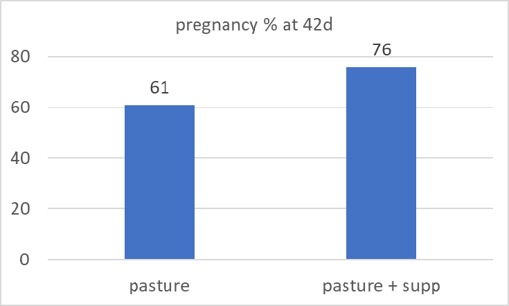 higher cow pregnancy rates chart